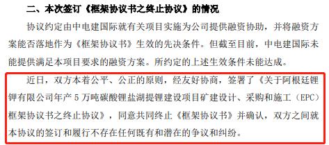 突发利空！超200亿锂业巨头的大项目终止！