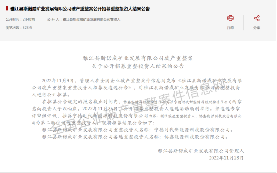 宁德时代成为斯诺威重整投资人！