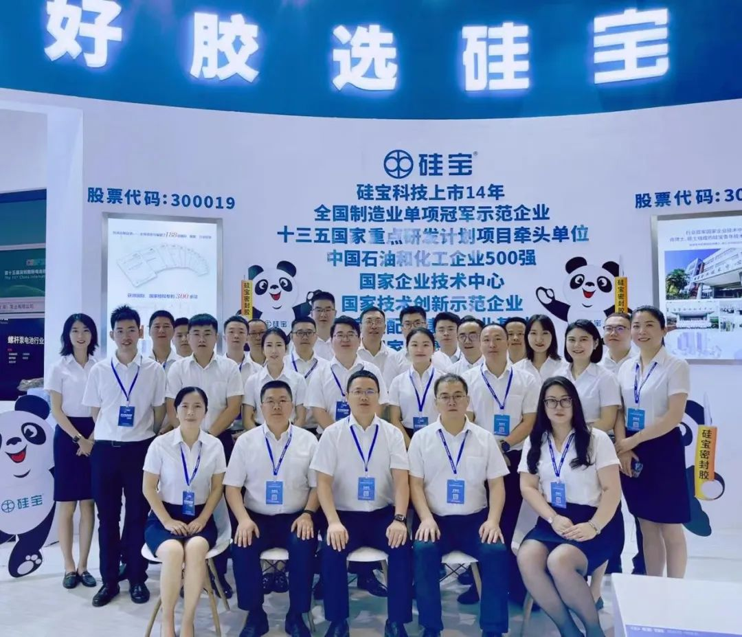 成都硅宝科技总经理黄强：硅宝科技为新能源电池安全保驾护航！