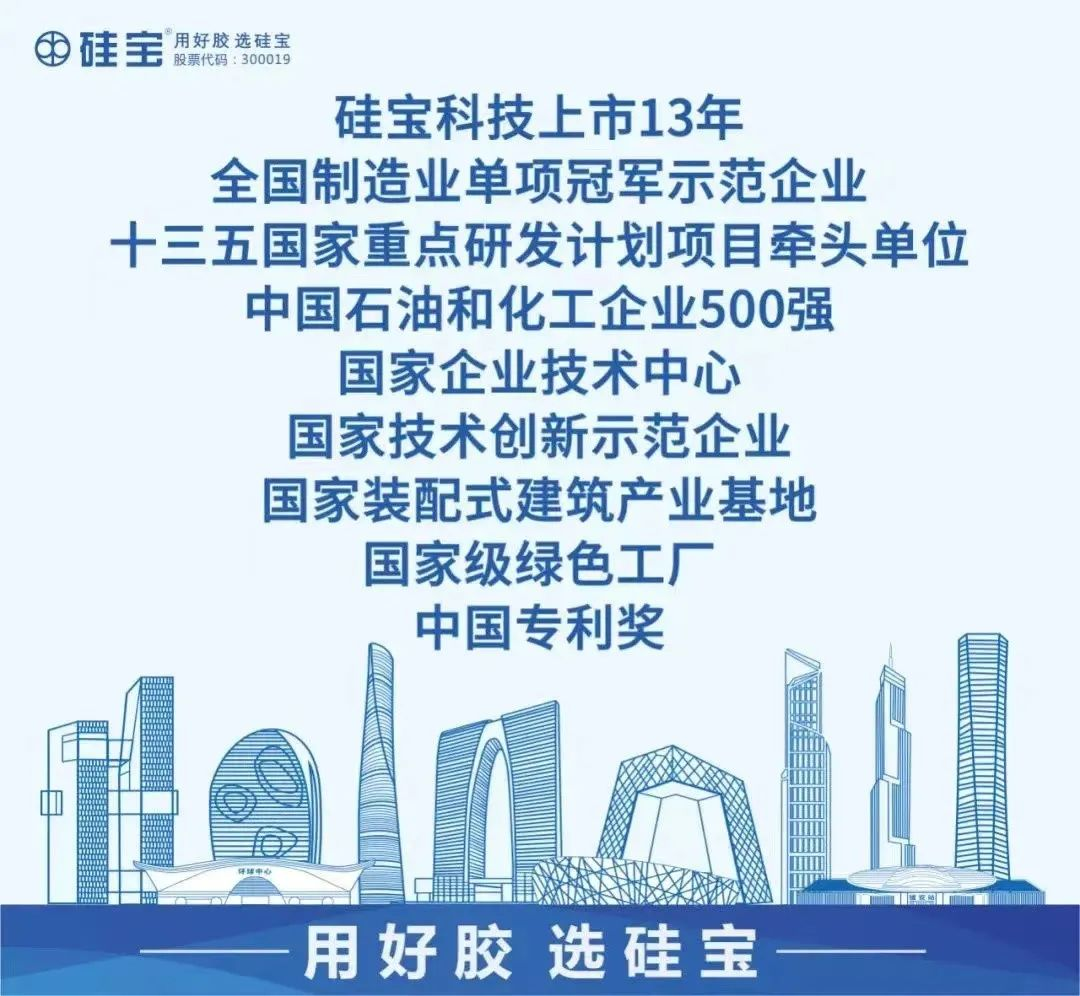 成都硅宝科技总经理黄强：硅宝科技为新能源电池安全保驾护航！